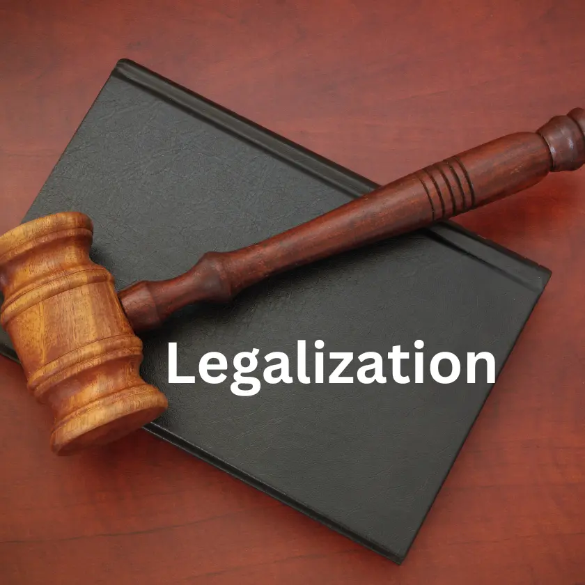 Legalization Of Company
